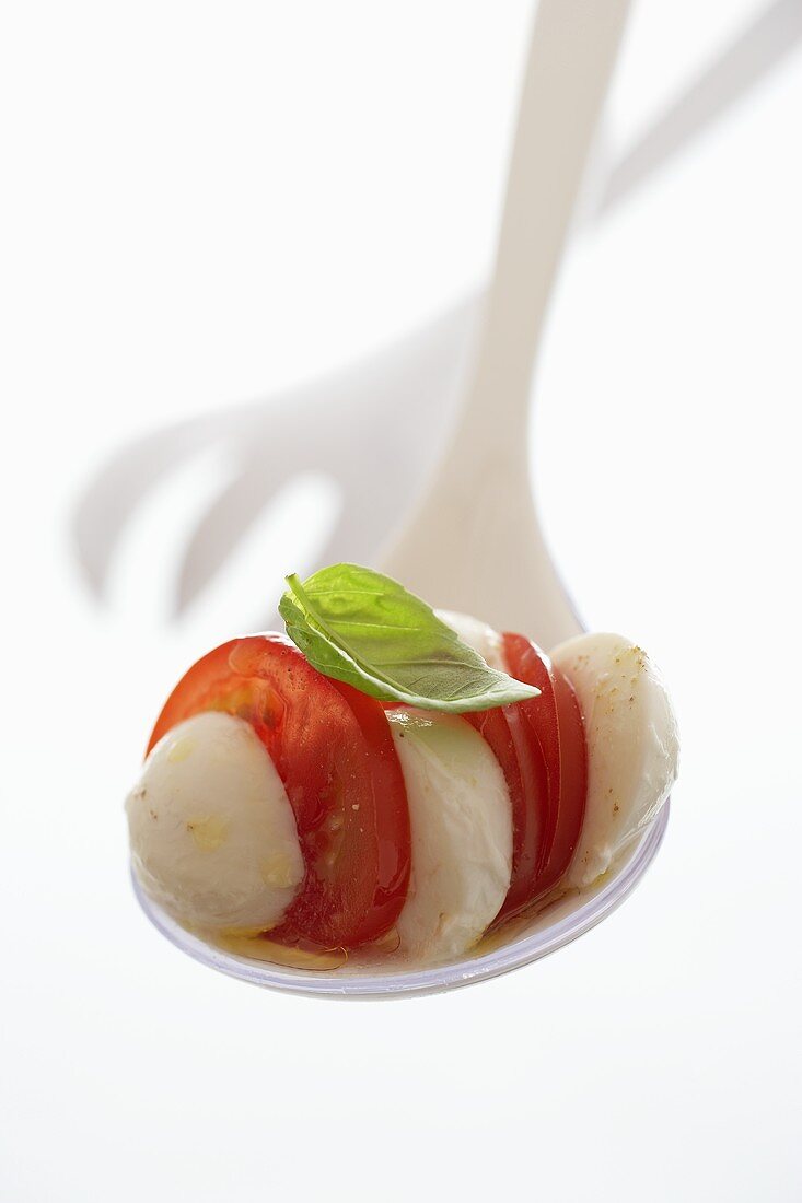 Tomaten mit Mozzarella und Basilikum auf Plastikkelle