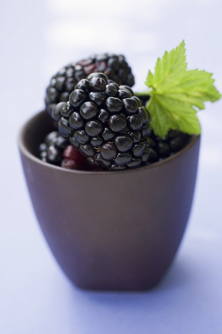 Blackberries with leaf in small beaker