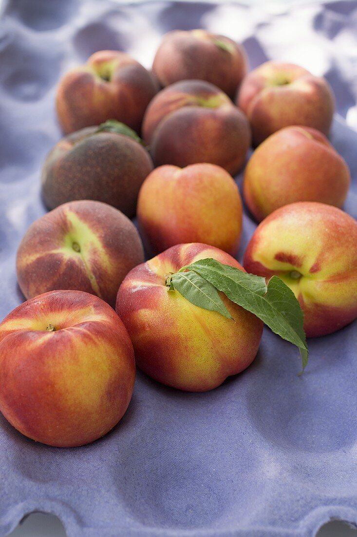 Peaches and nectarines with leaves