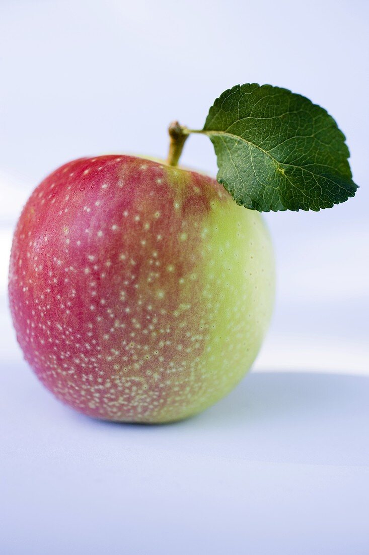 Ein Apfel mit Stiel und Blatt