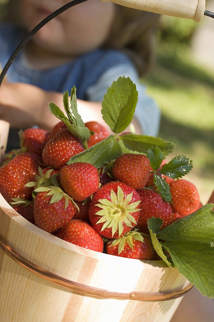 Holzeimer mit Erdbeeren, dahinter kleines Mädchen