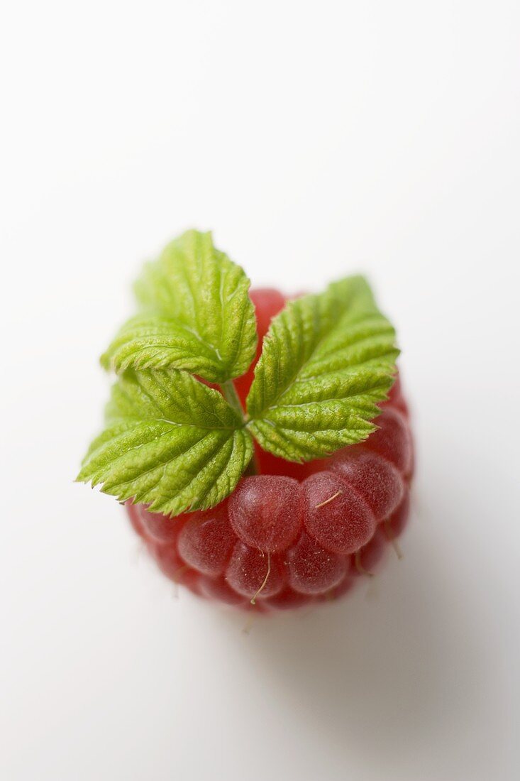 Raspberry with leaf from above