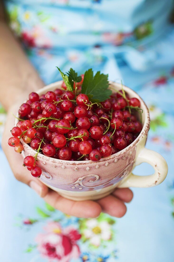 Hand holding a bowl of redcurrants
