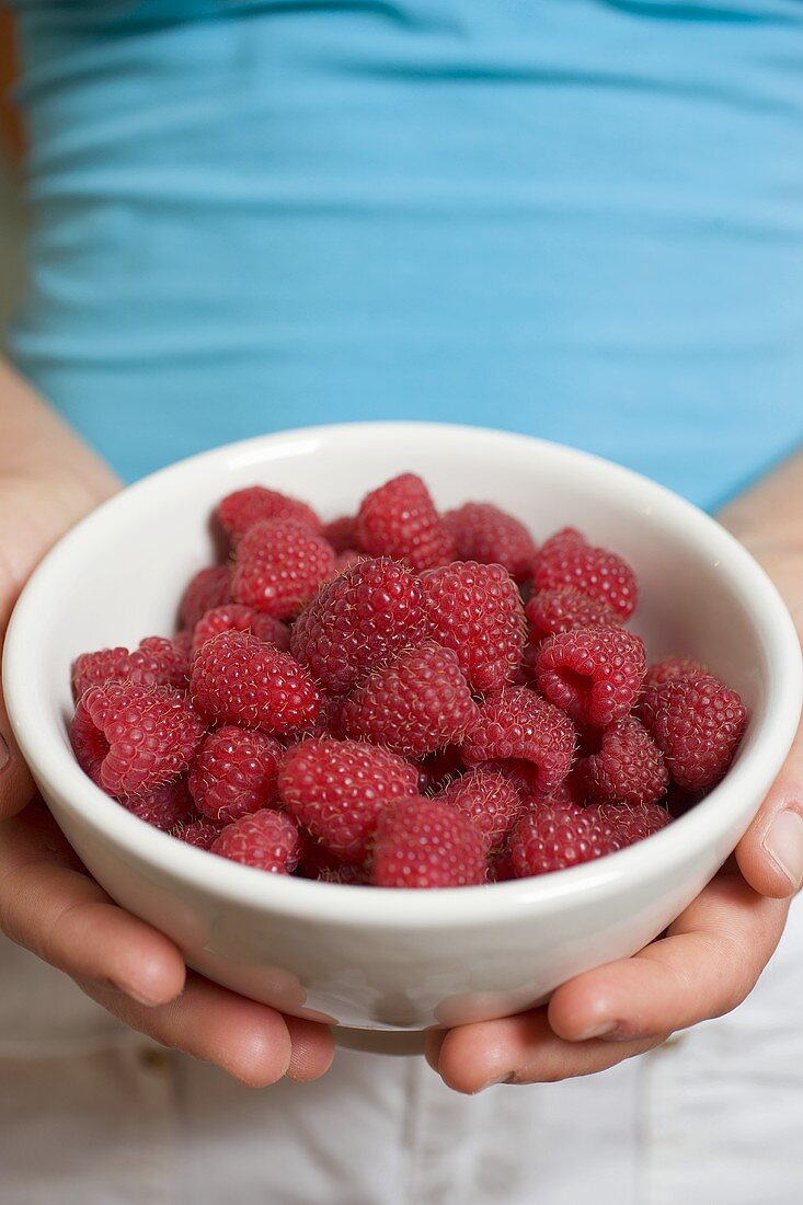 Hands holding bowl of fresh raspberries