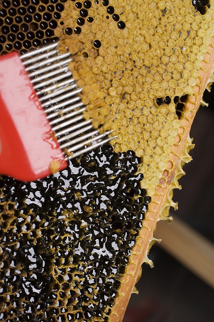 Honeycomb with uncapping fork