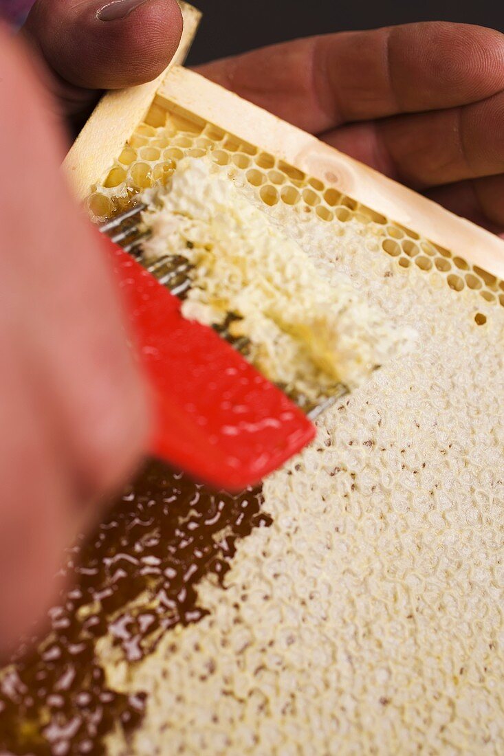 Removing the wax cappings from a honeycomb