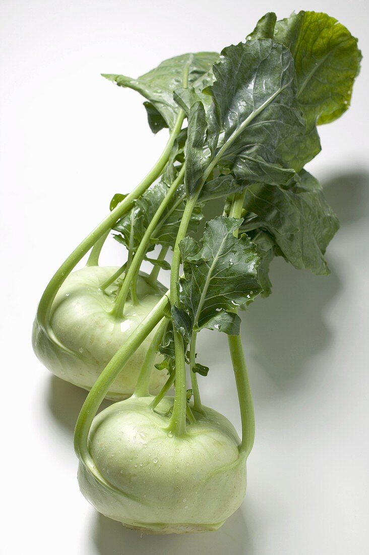 Two kohlrabi with leaves