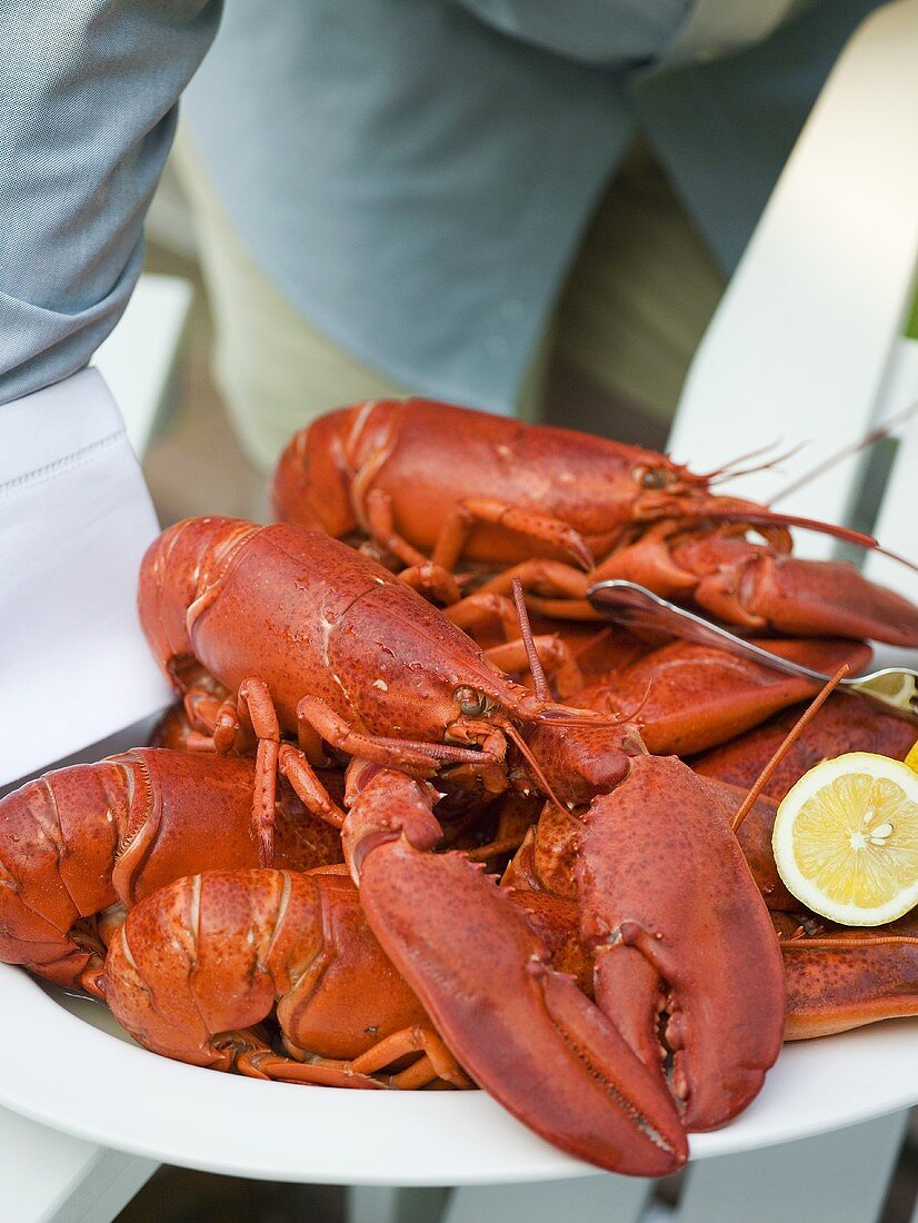 Person serving lobsters with lemons on platter (USA)