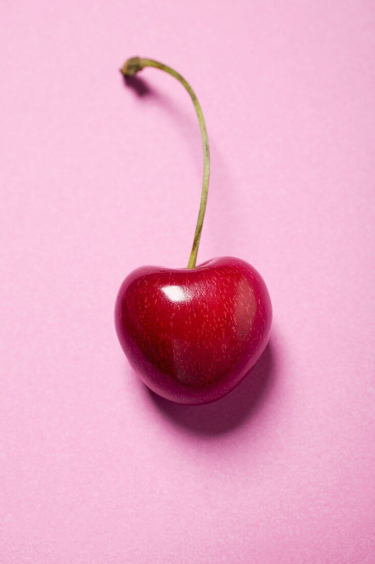 Cherry with stalk on pink background