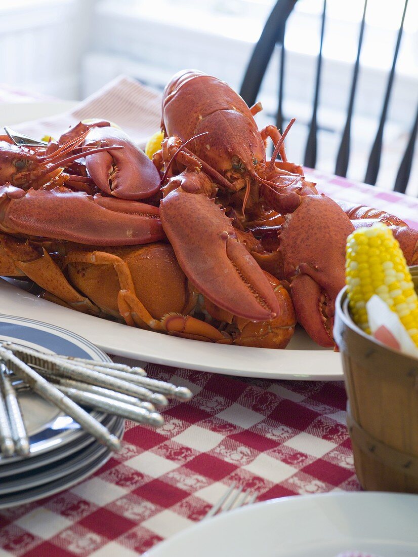 Gekochter Lobster auf gedecktem Tisch (USA)