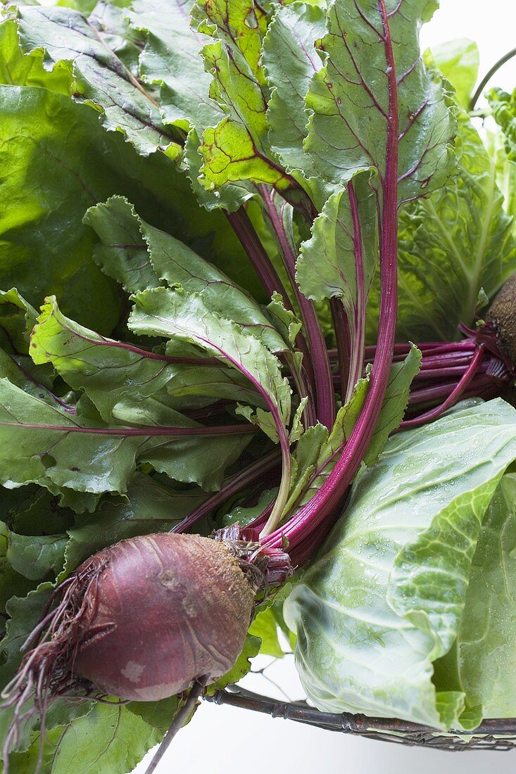 Vegetable still life with cabbage and beetroot