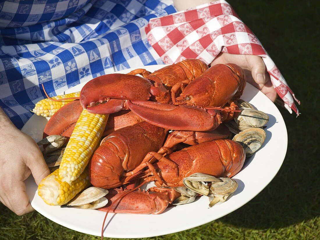 Hands holding platter of lobster, clams & corn cobs (USA)