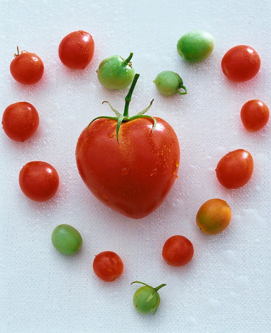 Heart-shaped tomato surrounded by cherry tomatoes