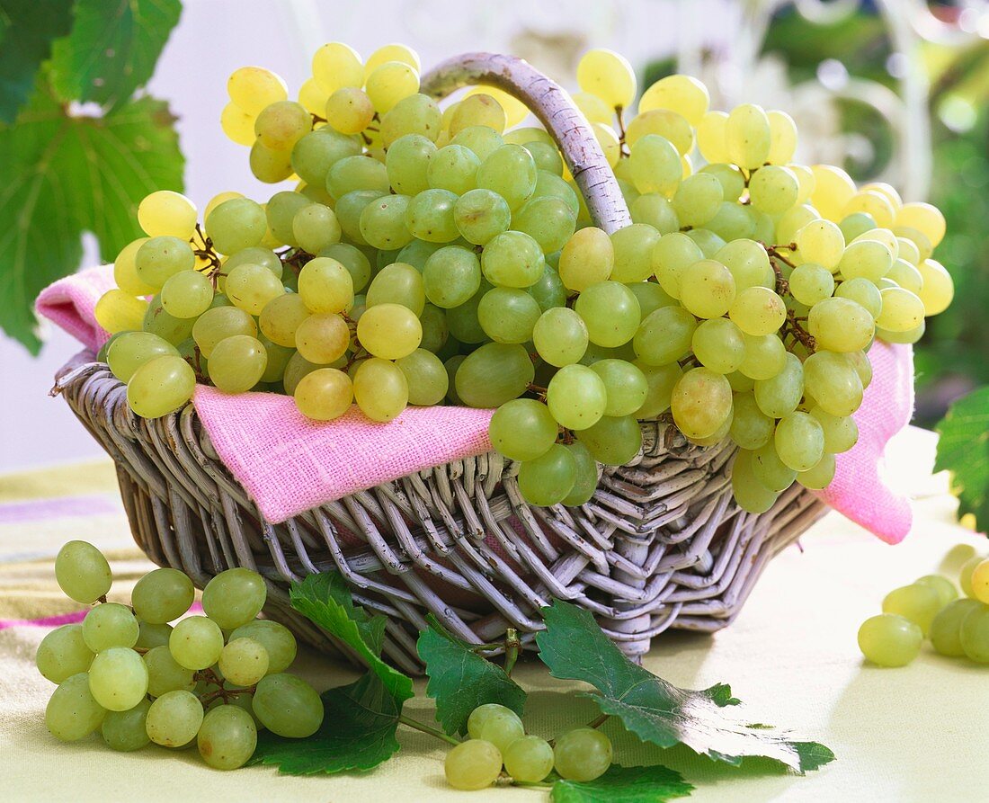 Green grapes in basket with pink napkin
