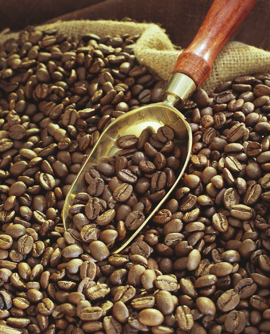 Coffee beans with golden scoop