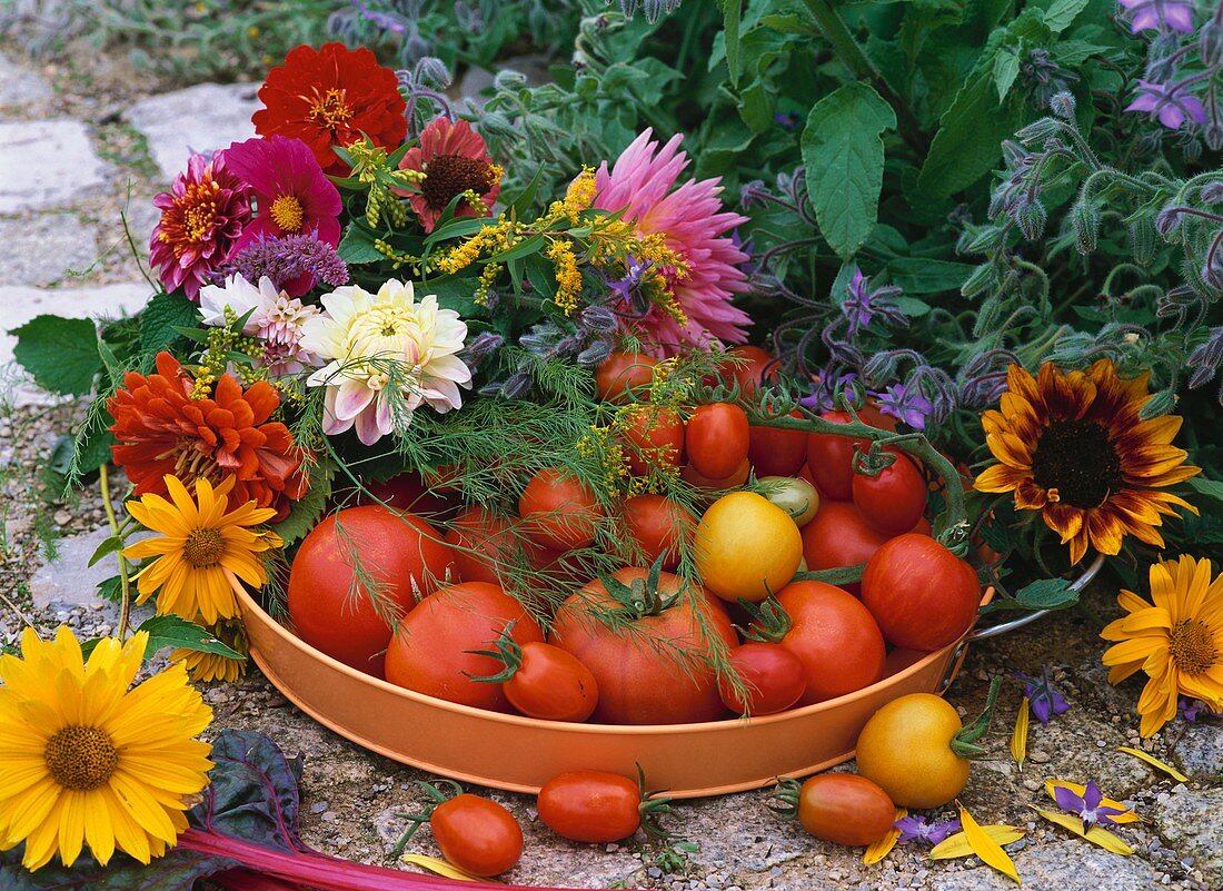 Fresh tomatoes in bowl surrounded by summer flowers