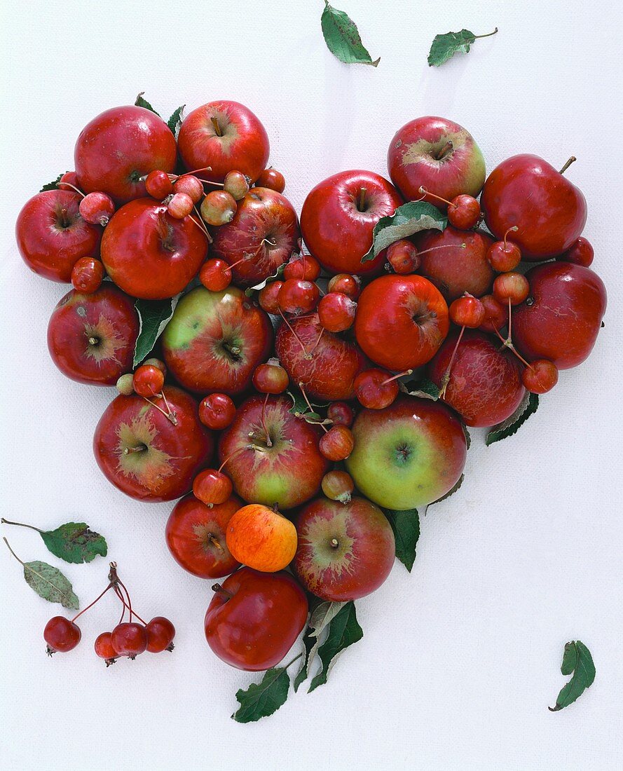 Herz aus roten Äpfeln und Zieräpfeln