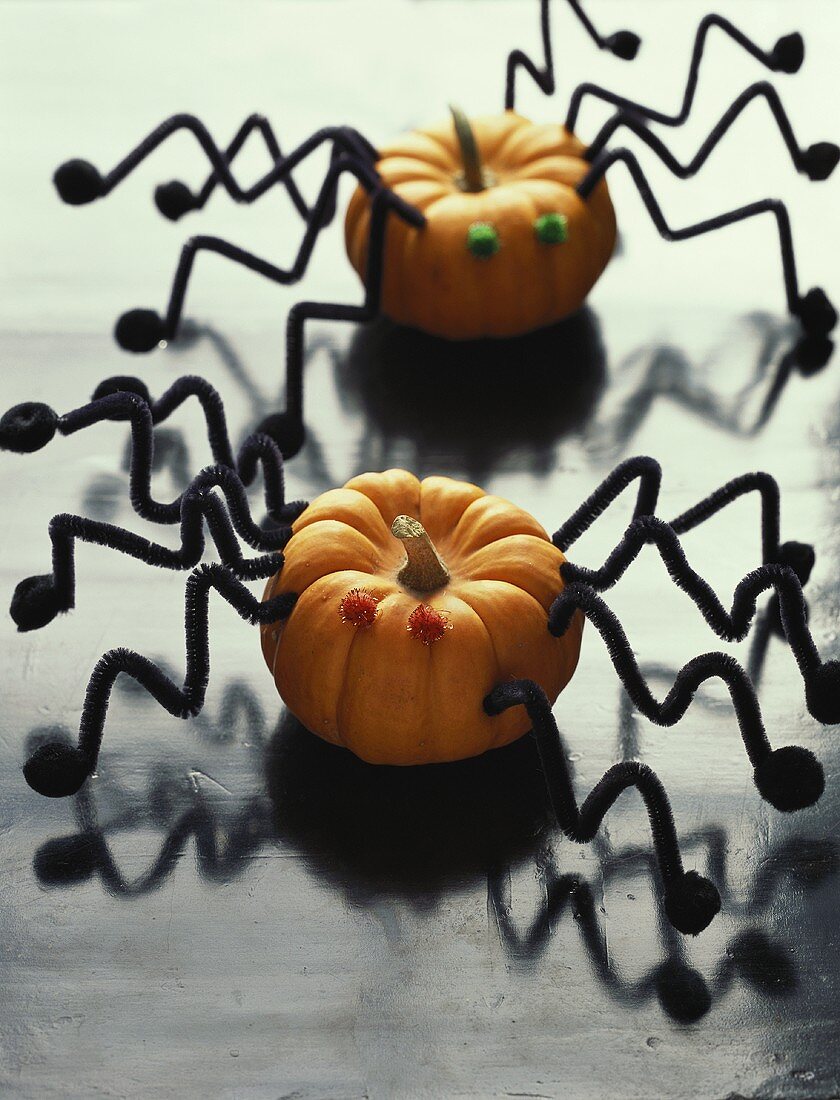 Zierkürbisse mit Spinnenbeinen (Deko für Halloween)