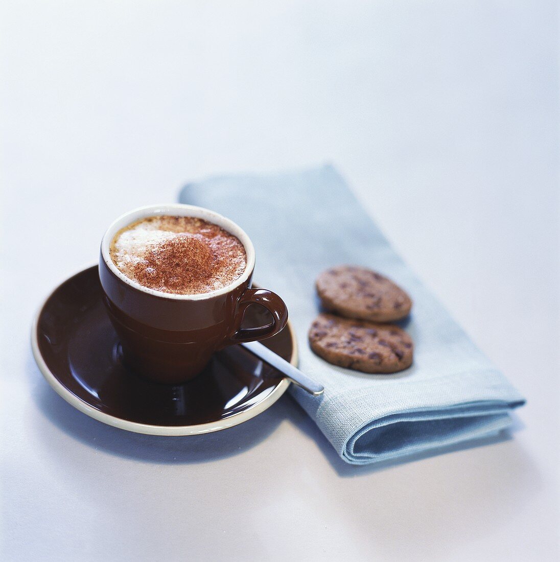 Cup of cappuccino and two biscuits