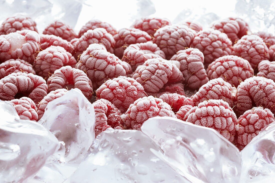 Frozen raspberries on ice cubes