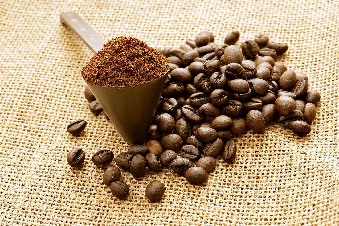 Ground coffee in measuring spoon and coffee beans on jute