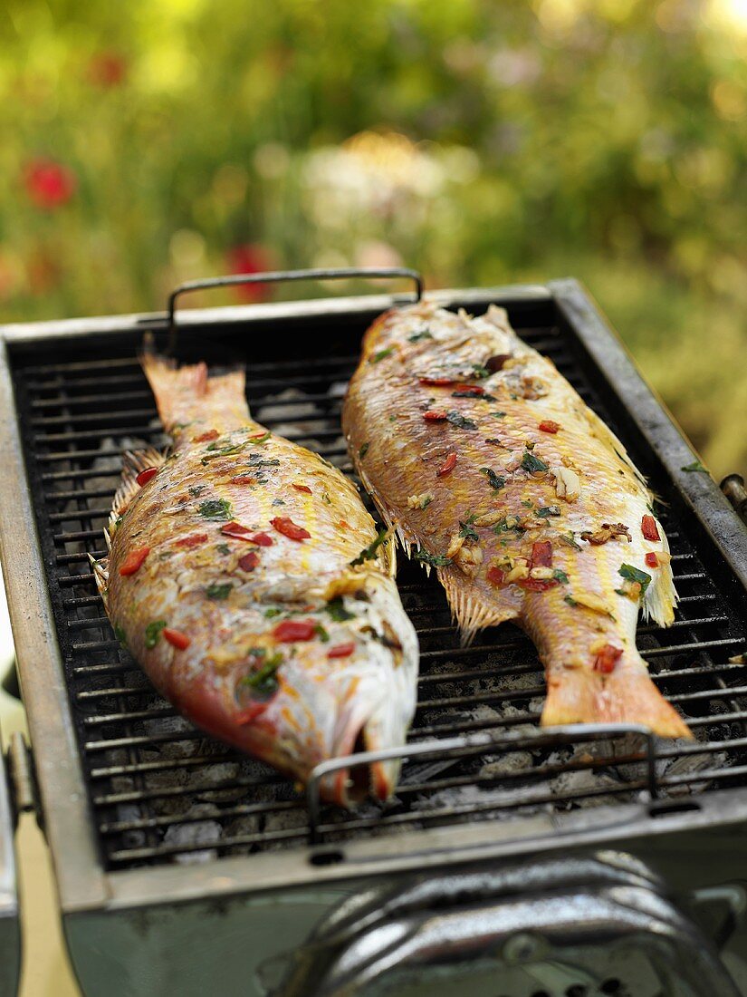 Red snapper on a barbecue in the open air