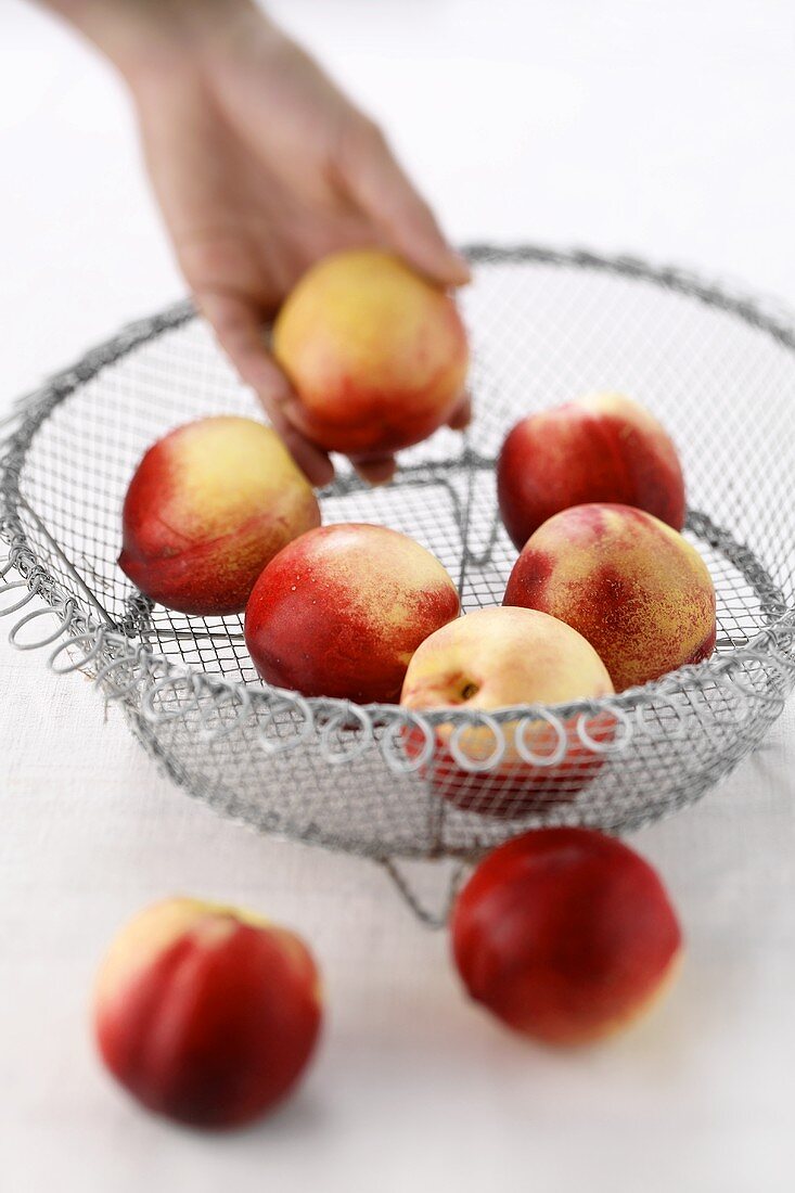 Hand taking a nectarine out of a wire basket