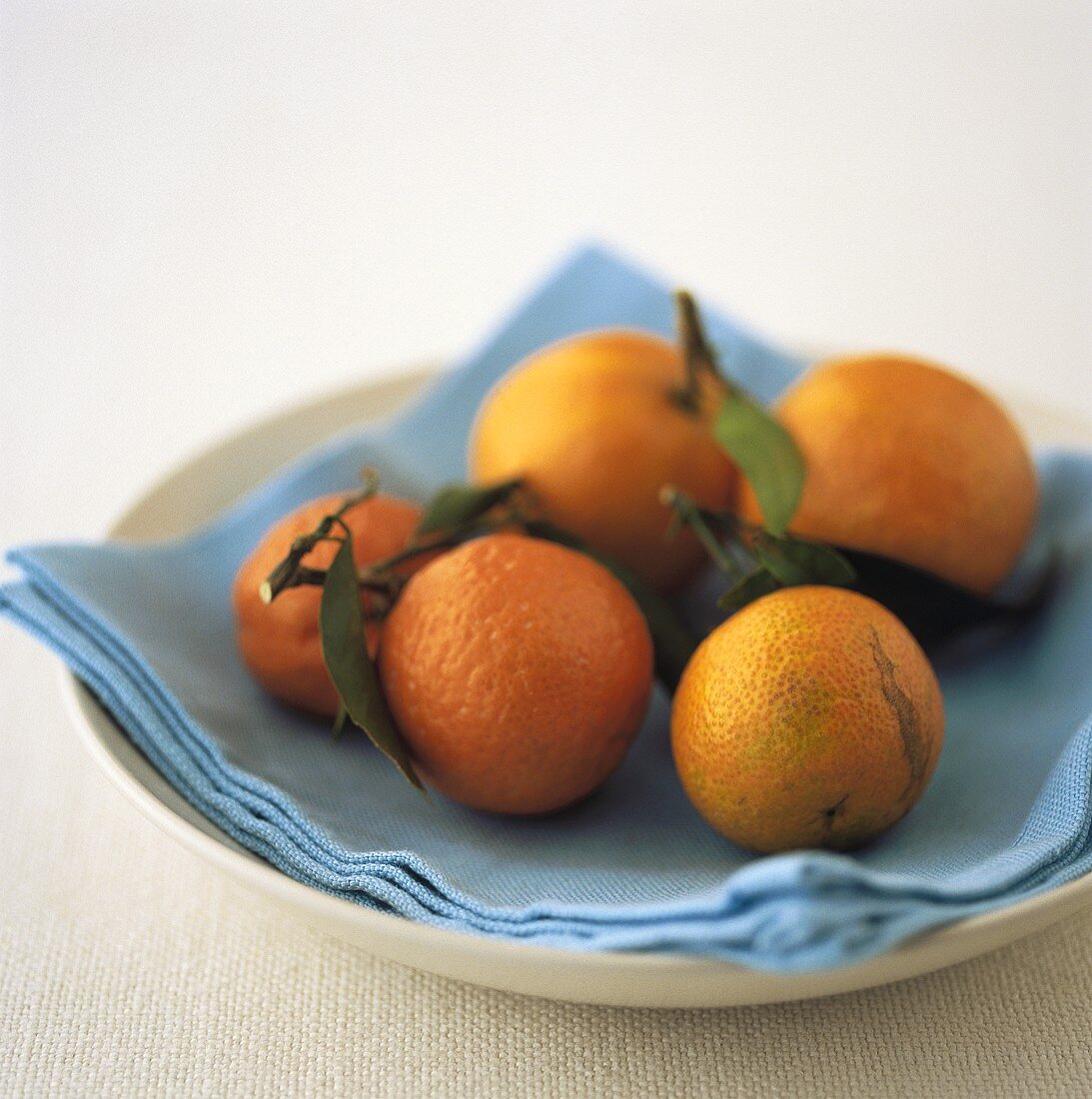 Blood oranges and mandarins on plate