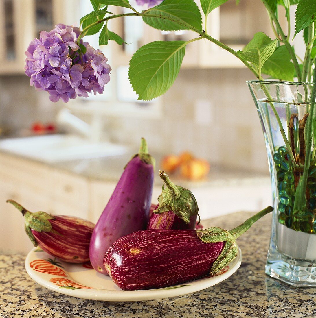 Still life with aubergines