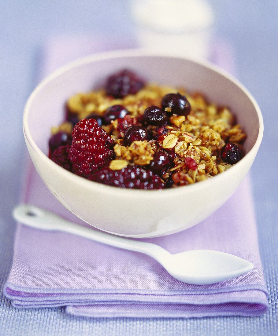 A bowl of muesli with berries