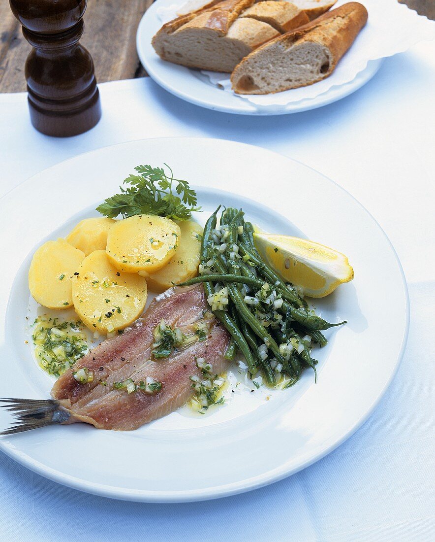 Matje herrings with green bean salad and potato slices