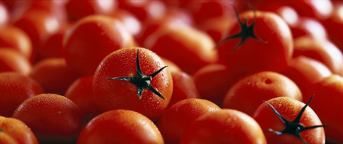 Tomatoes with drops of water (filling the picture)