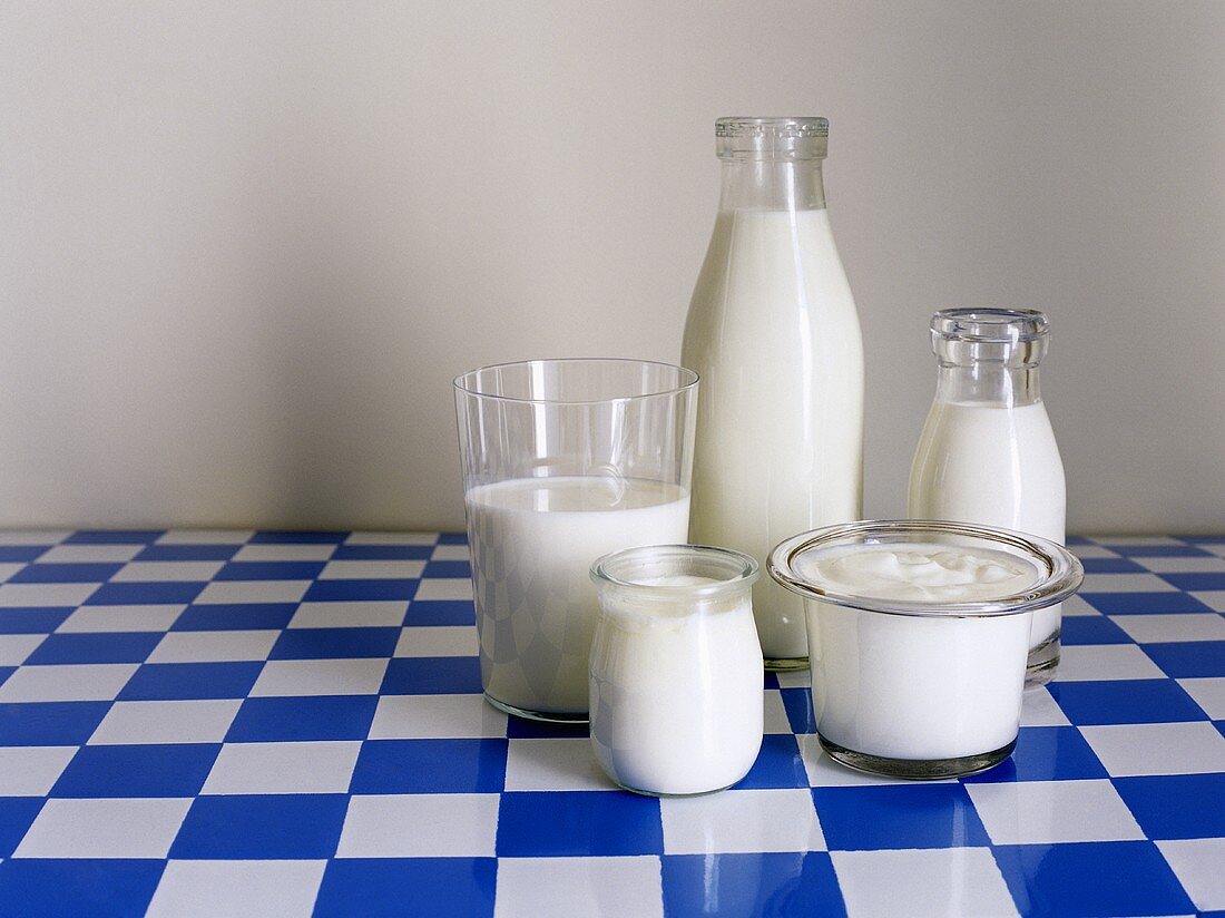 Stillleben mit Milch und Milchprodukten