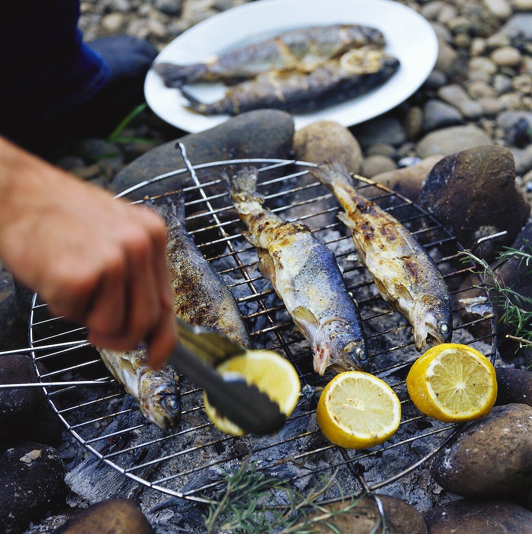 Trout with lemons on barbecue