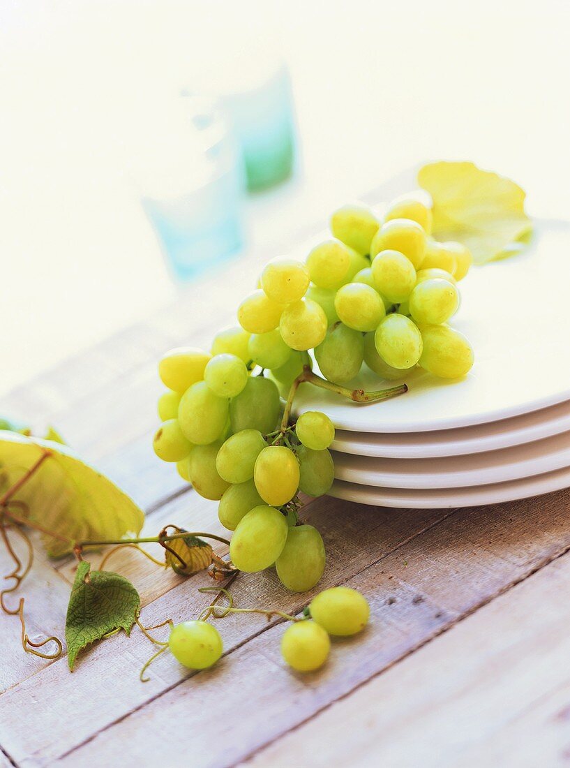 Green grapes on white plates