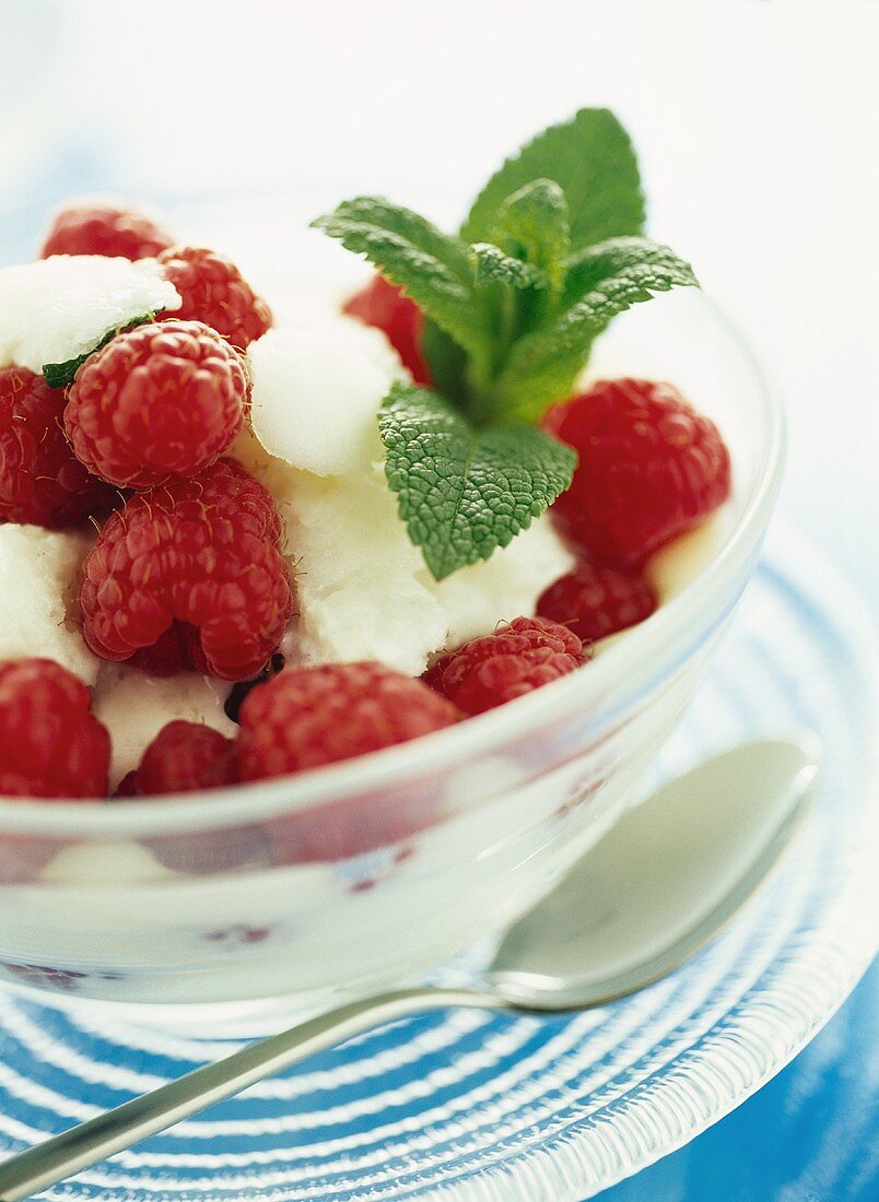 Yoghurt ice cream with fresh raspberries