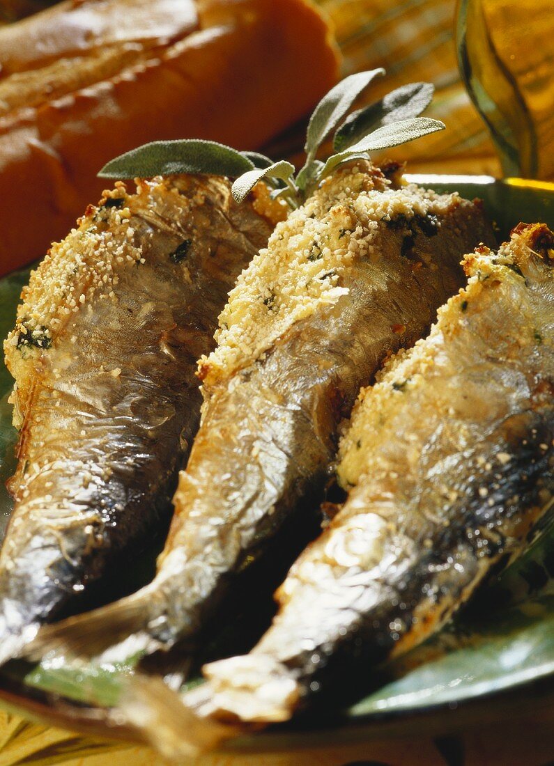 Fried sardines