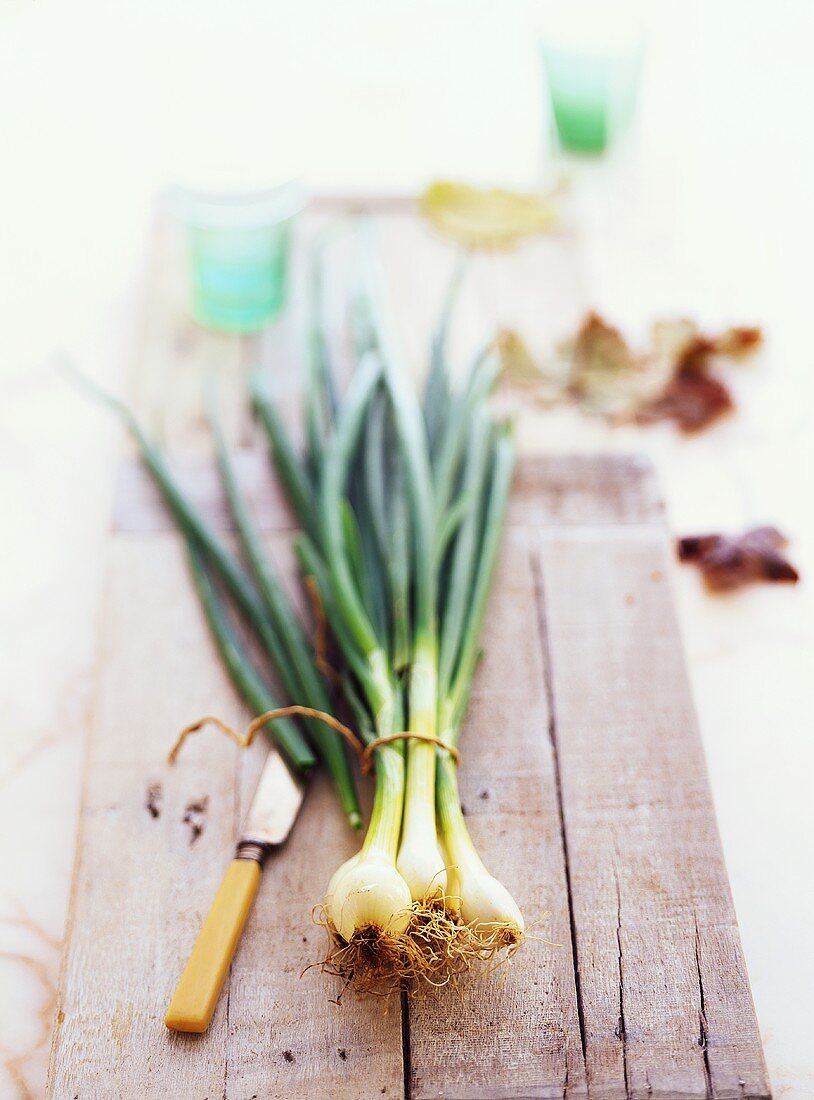 Spring onion with knife on wooden board