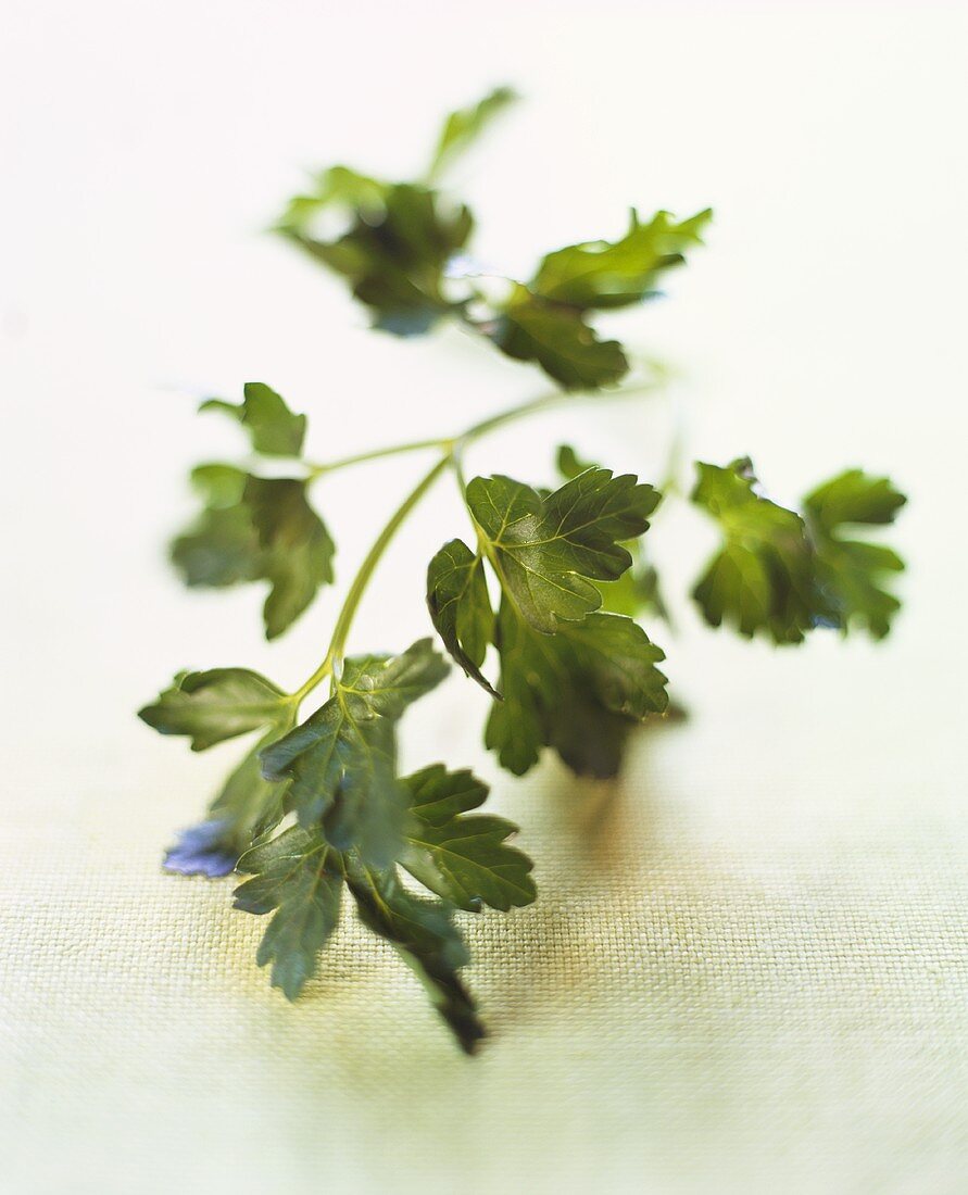 Parsley