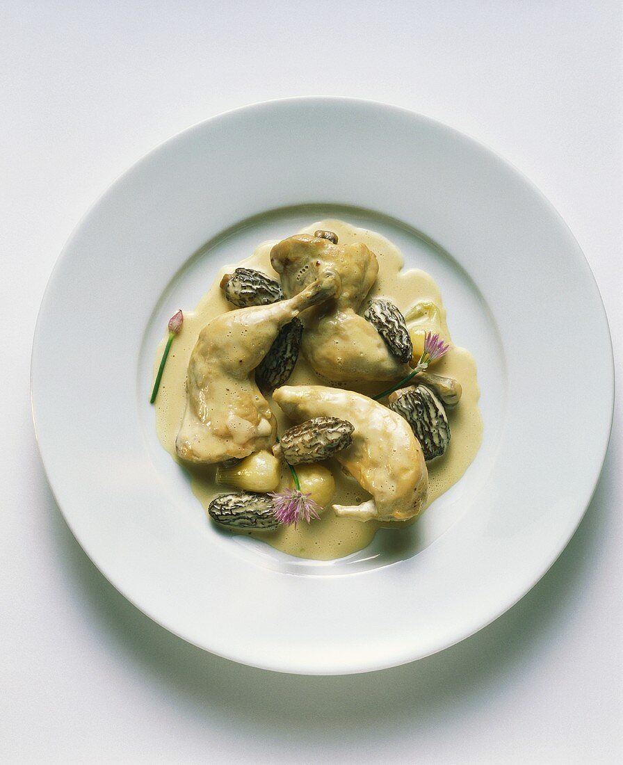 Chicken with morels in cream sauce