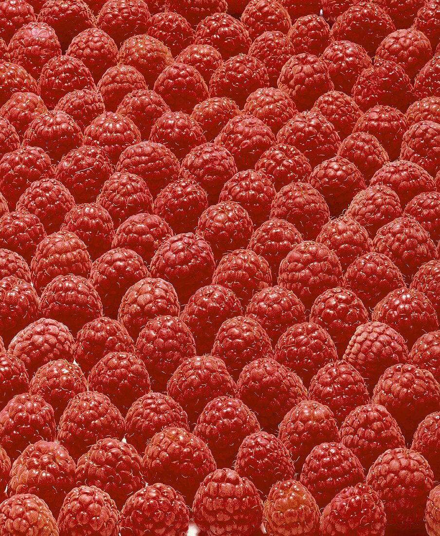 Raspberries (filling the picture)