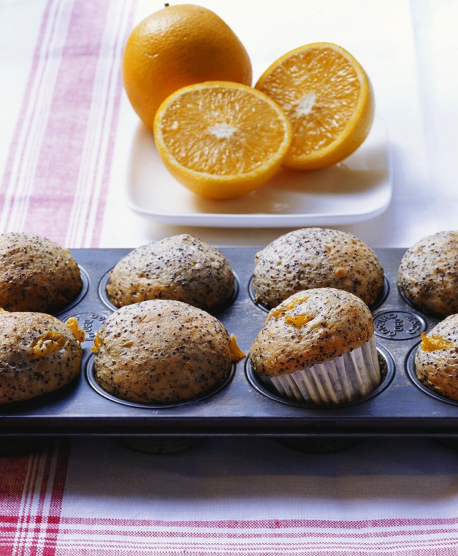 Mohn-Orangen-Muffins