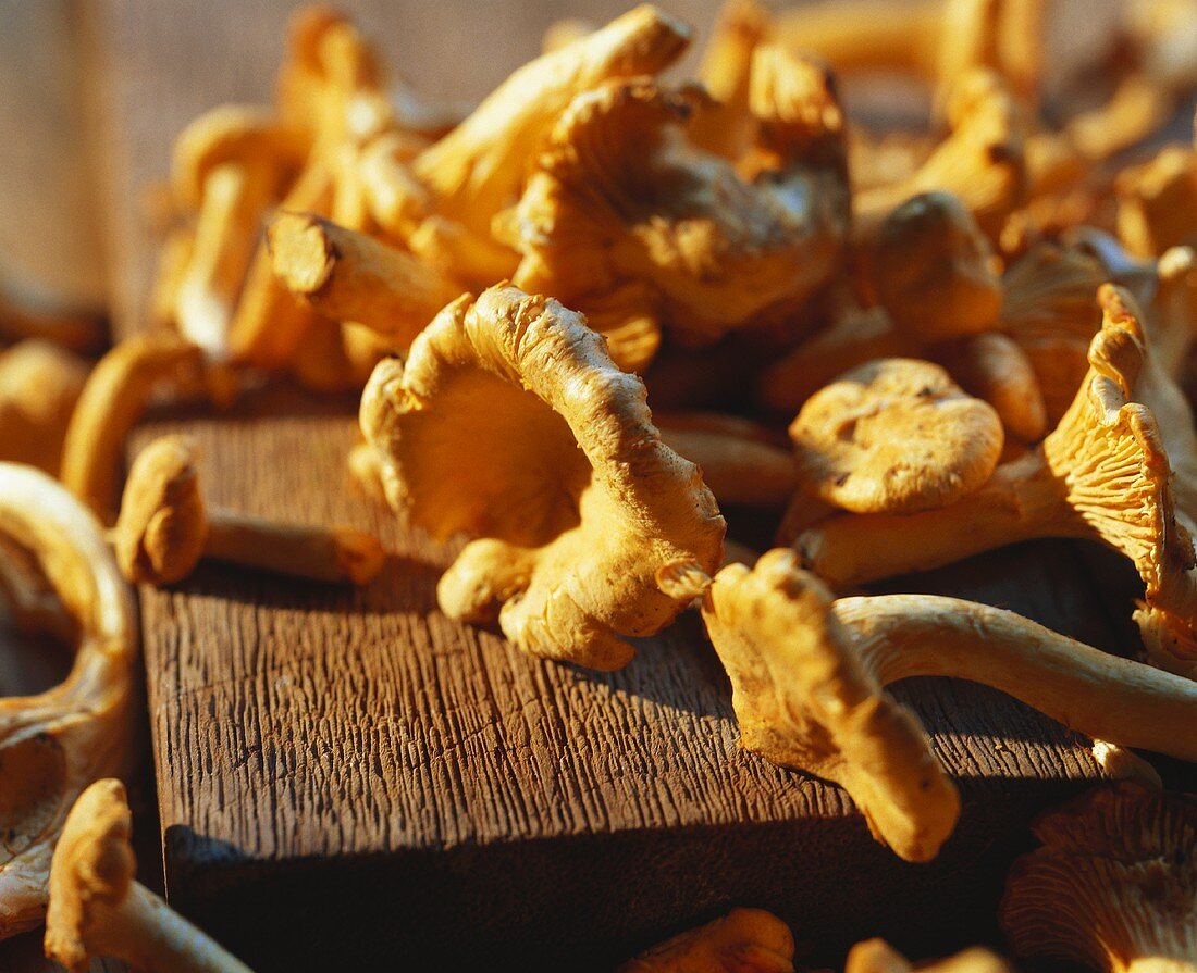 Chanterelles