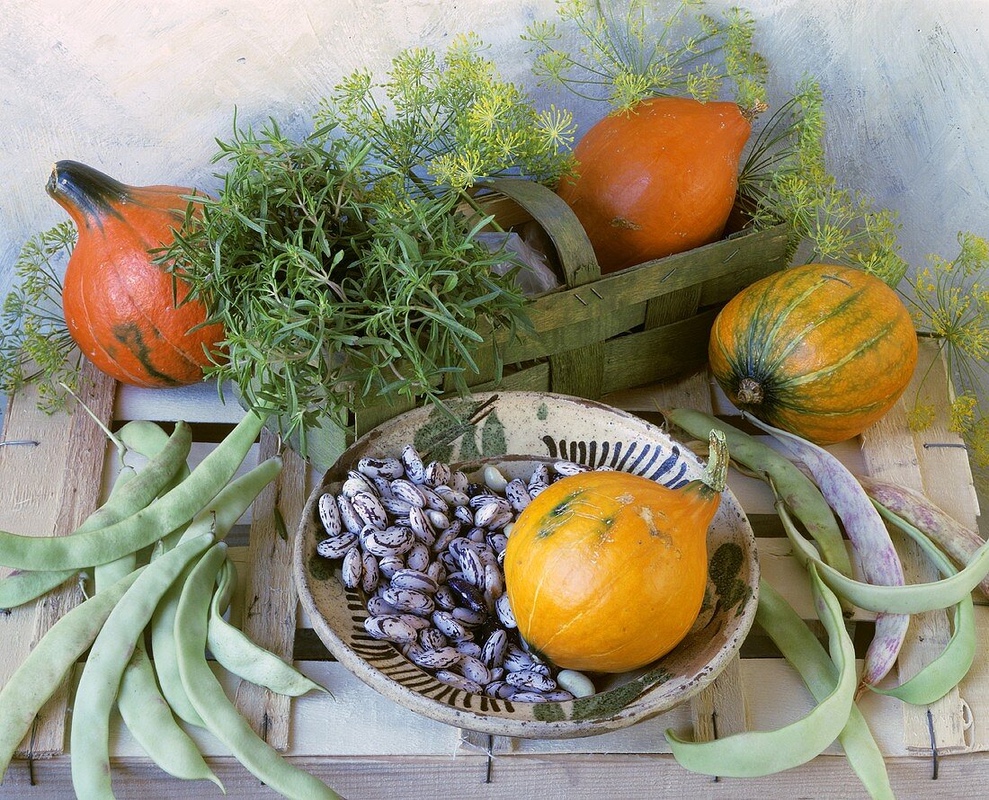Still life with beans, pumpkins and herbs