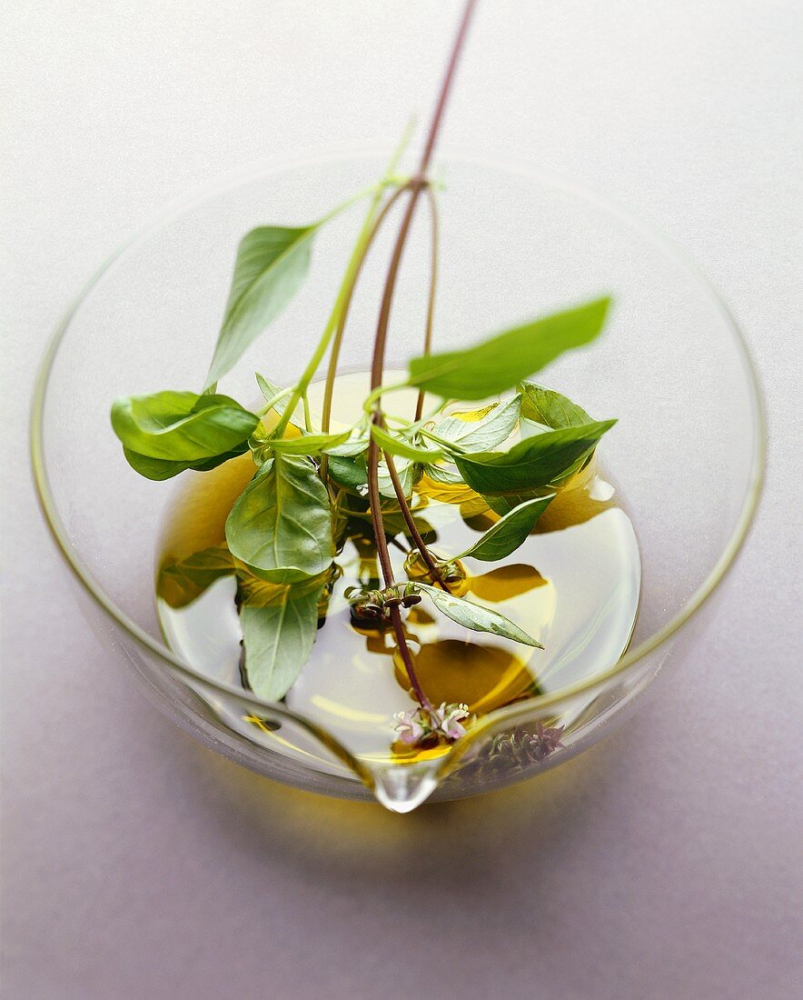 Basilikumzweig mit Olivenöl
