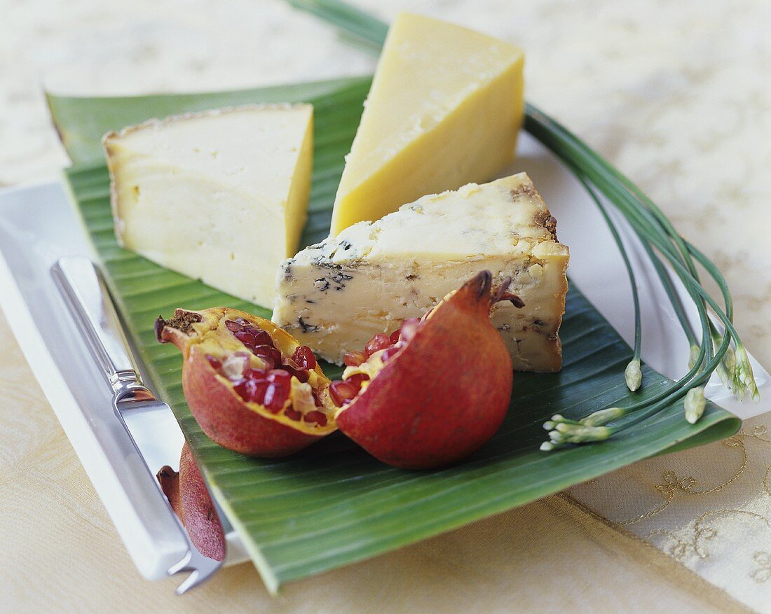 Cheese plate with pomegranate