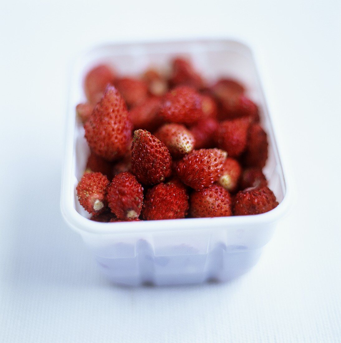 Container of fresh wild strawberries