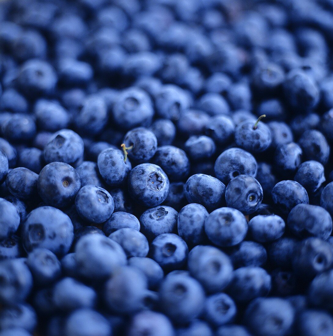Blueberries (filling the picture)