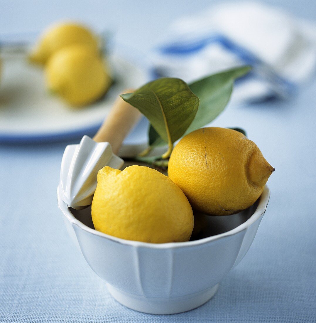 Sizilianische Zitronen mit Zitruspresse