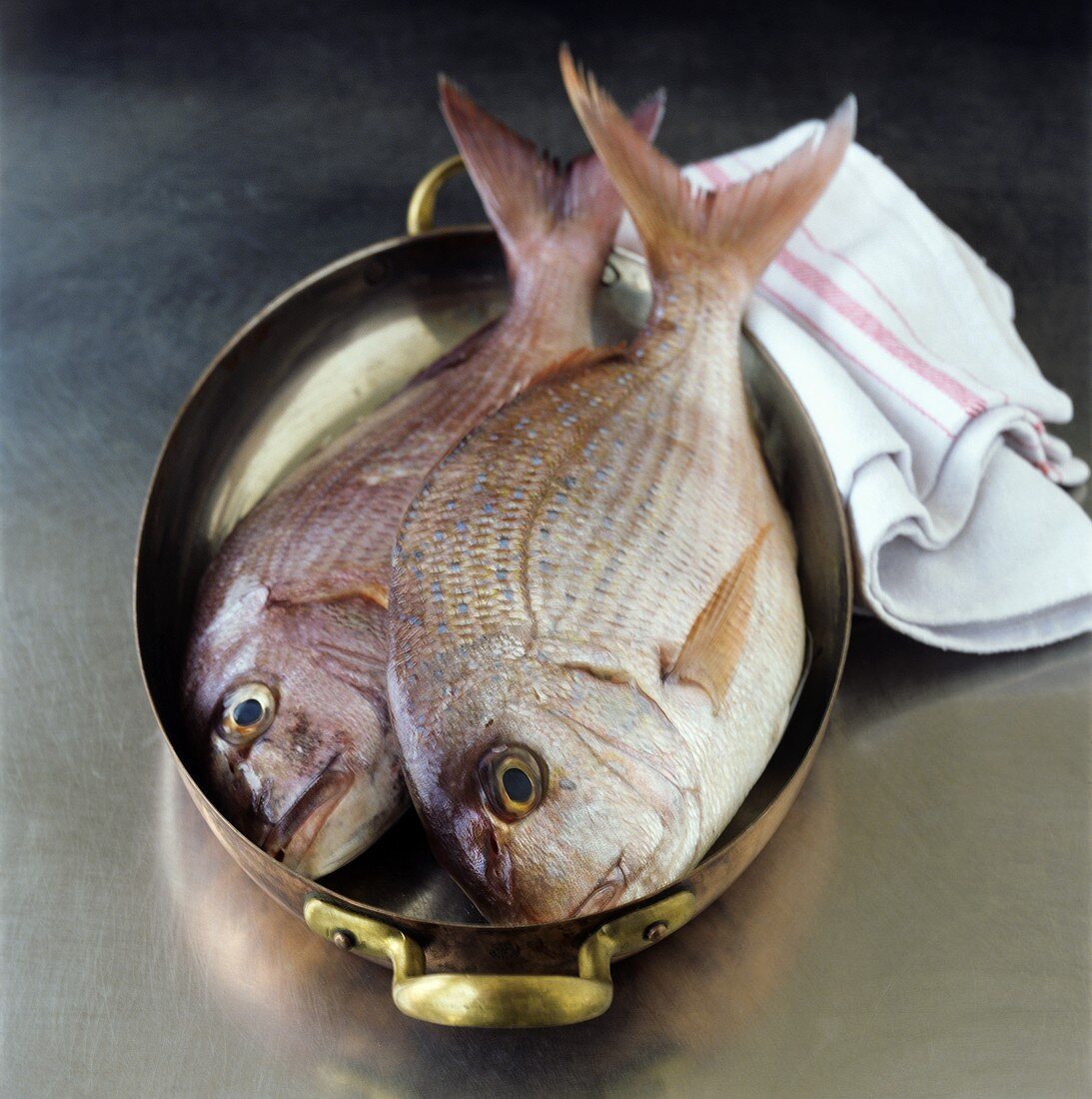 Two sea bream